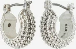 AllSaints Créoles Boucles Doreilles Femme Argent